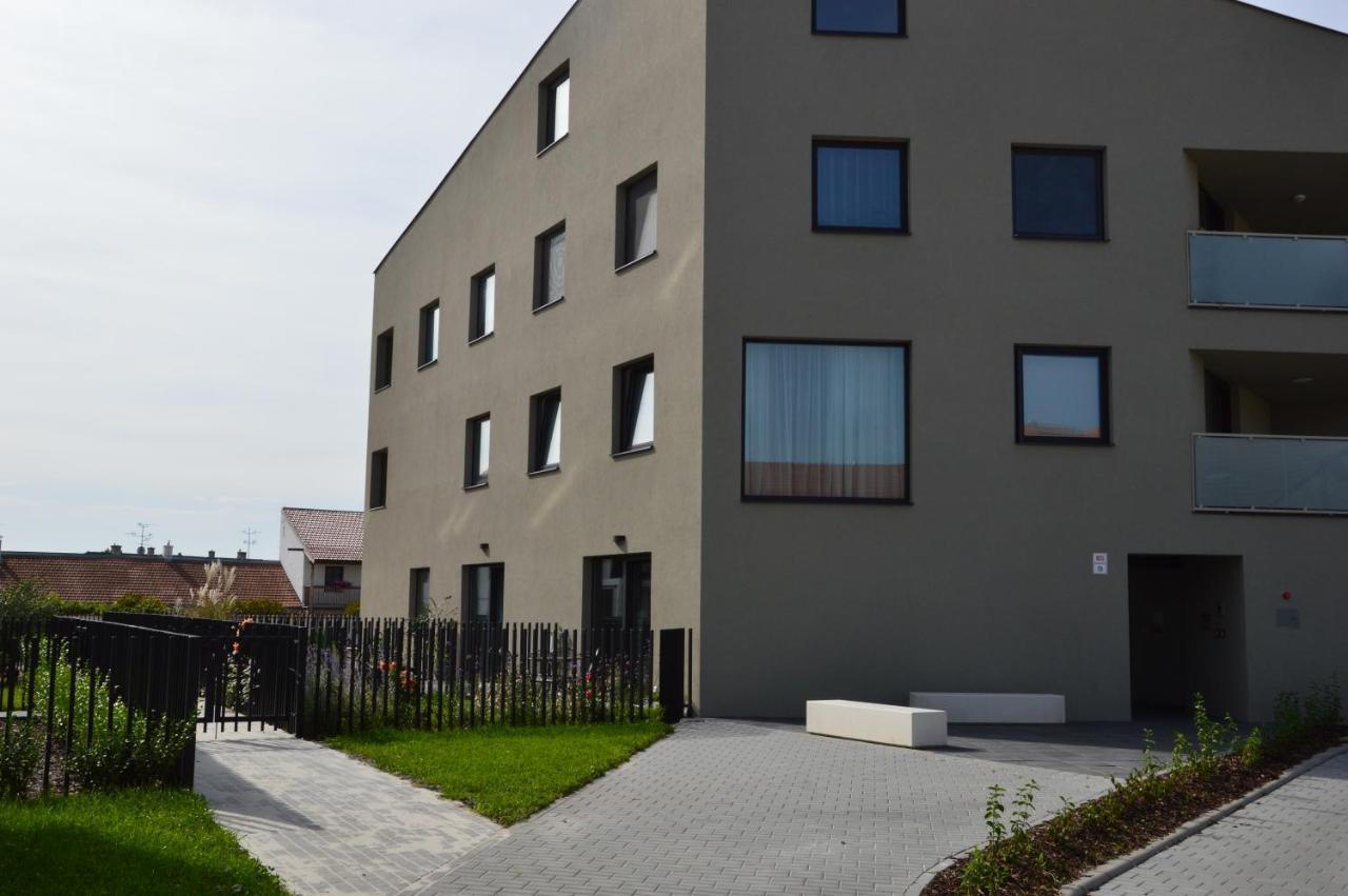 Palm Garden Apartment 1 米库洛夫 外观 照片