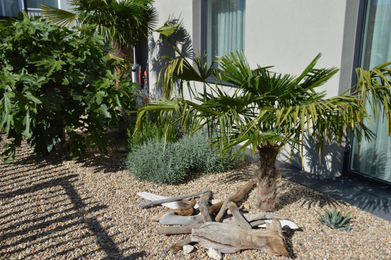 Palm Garden Apartment 1 米库洛夫 外观 照片
