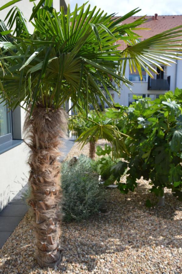 Palm Garden Apartment 1 米库洛夫 外观 照片