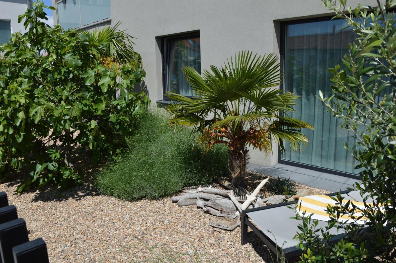 Palm Garden Apartment 1 米库洛夫 外观 照片